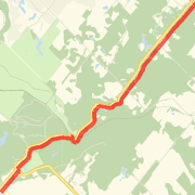 The Switchback