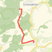 Beninlauf II