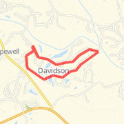 Davidson Loop