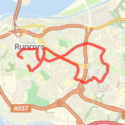 Insomniac Run