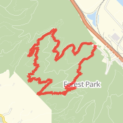 Forest Park: Unofficial / Maple / Koenig / Wildwood / Saltzman Rd. Loop
