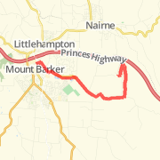 Summit to School 11km run