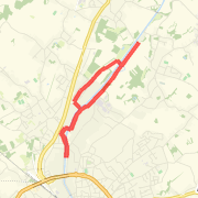 Dender - haag -bos