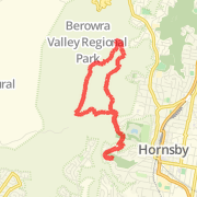 Hornsby Tunks Camp Walk