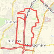 Fleet Feet 8 miler