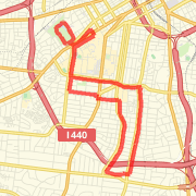 9 miles (Women's Training)