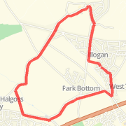week loop