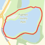 Pugneys's