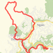 Ngaio Gorge - Crow