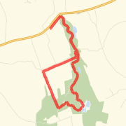Curraghchase 10k race