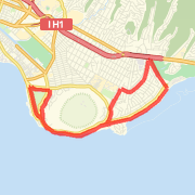 Honolulu Marathon Clinic Turkey Trot