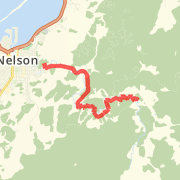 Nelson Striders Half Marathon