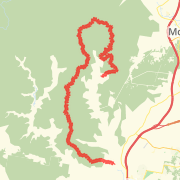 Jilliby to Dooralong via Forest