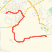 Irene Running Club