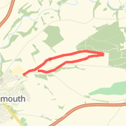 Fell race