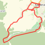 Taids 20k forest run 
