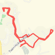 3.1 Mile Run with the Dog