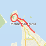 taurangahalf run course