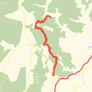 Section 5