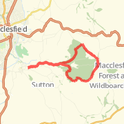 Forest Chapel Loop
