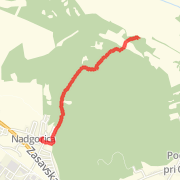 2.43km sprints on 11/4/12