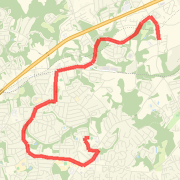 123