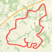 SatLoop