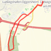 6.00km run on 09.11.12