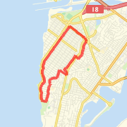 Veterans Day run