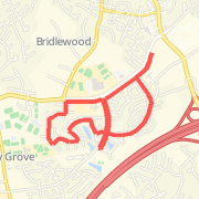 4-Mile Shady Grove YMCA Run