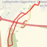 6.00km run on 29.11.12