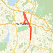 Wayne - 4 Miler