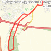 6.06km run on 11.12.12
