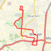 JewelryDiva's 8-Mile Run