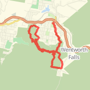 Running Wild - Wentworth Falls