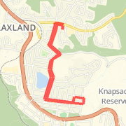 Standard Run