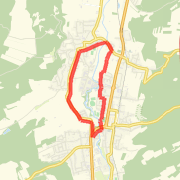 Tempo Run 12 km