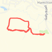 3.17mi run on 12/31/12 with Jeff