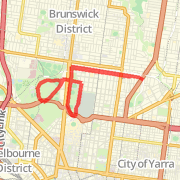 10k around zoo