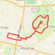 8km loop - around and up one tree hill