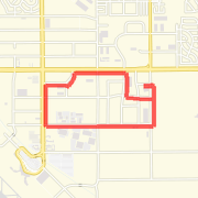 Universal Loop in Tucson