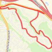 Medium Run