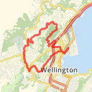 First Wellington run