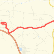 Pheasunt Run 8 mile run