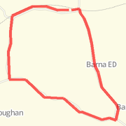 4 Mile Run Home - Offaly