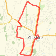 8 mile training run