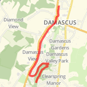 5m Damascus