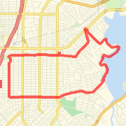 Taco 10 Miler