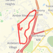 Three Miler