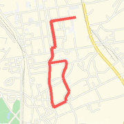 A group run
